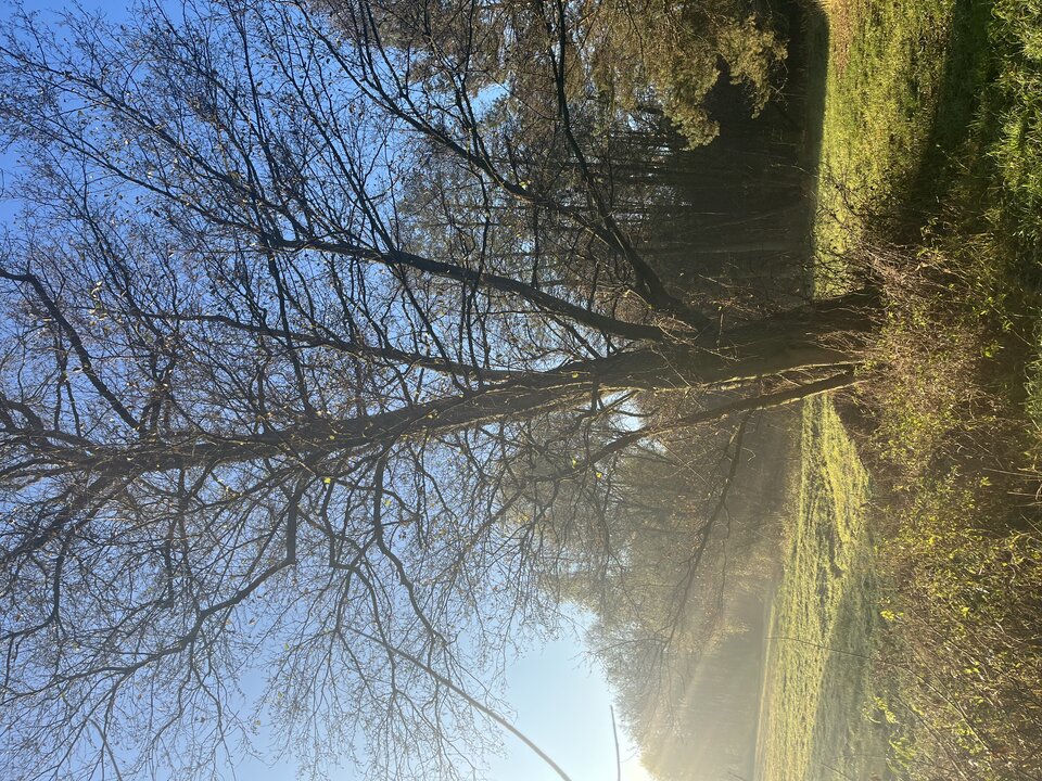 IMG_9798.jpeg - Locotoco