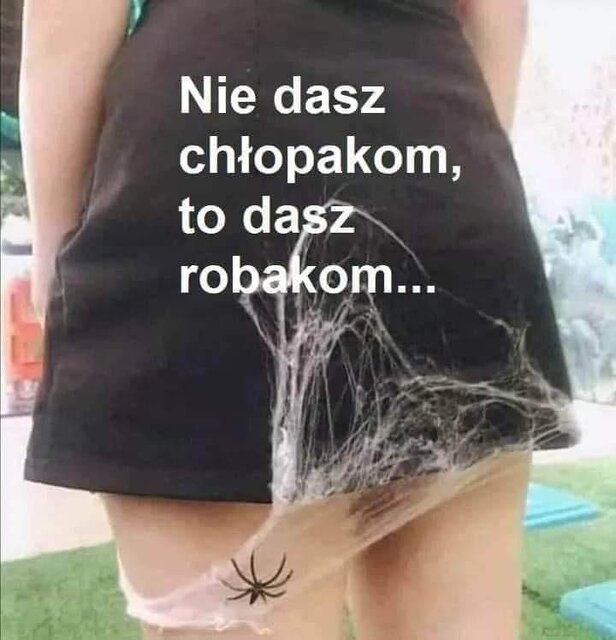 1dea0eb6-9cb1-480a-9137-5e9a0f80ec0a.jpeg - Maniolonr46