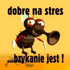 4ae8d9ad-3027-432b-af07-2fb363d7525c.jpeg