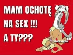 IMG_2604.jpeg