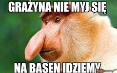 IMG_2550.jpeg