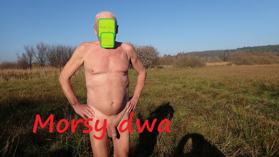 Gdzieś na łące. Na trasie. - Morsy_dwa