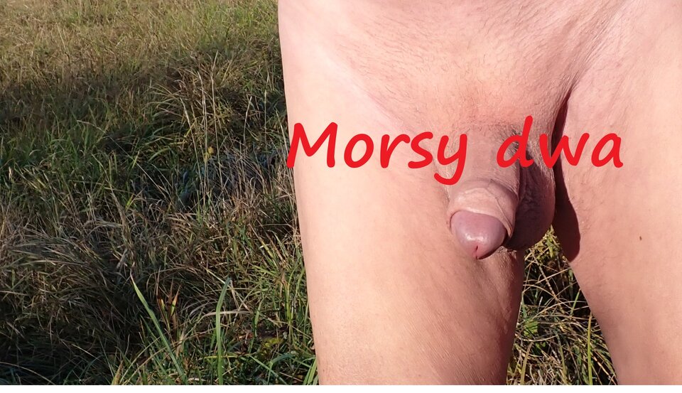 Gdzieś na łące. Na trasie. - Morsy_dwa