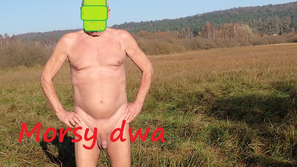 Gdzieś na łące. Na trasie. - Morsy_dwa