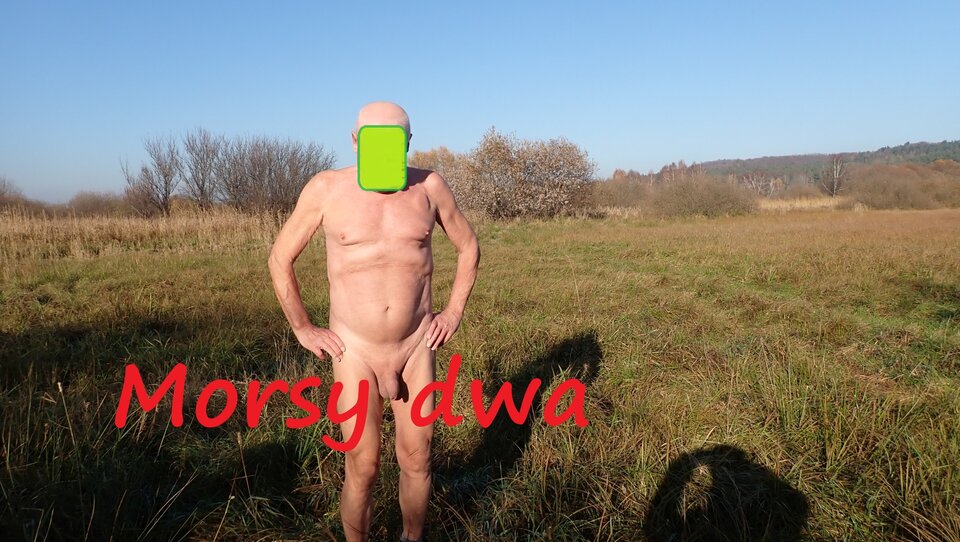 Gdzieś na łące. Na trasie. - Morsy_dwa