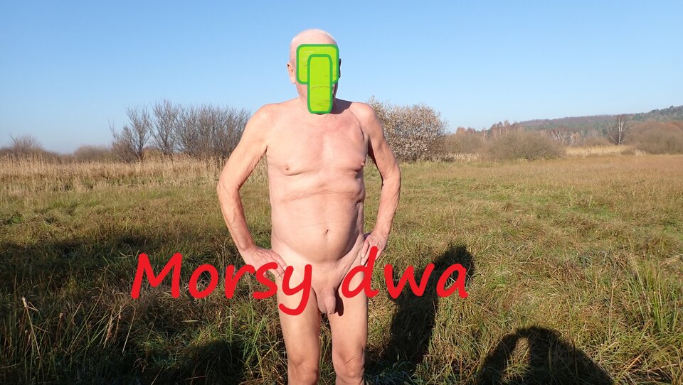 Gdzieś na łące. Na trasie. - Morsy_dwa