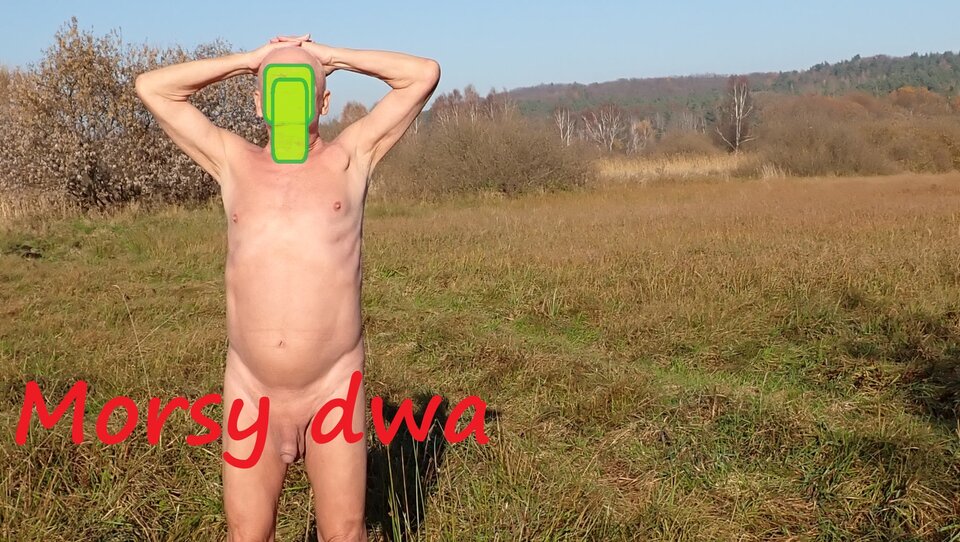 Gdzieś na łące. Na trasie. - Morsy_dwa