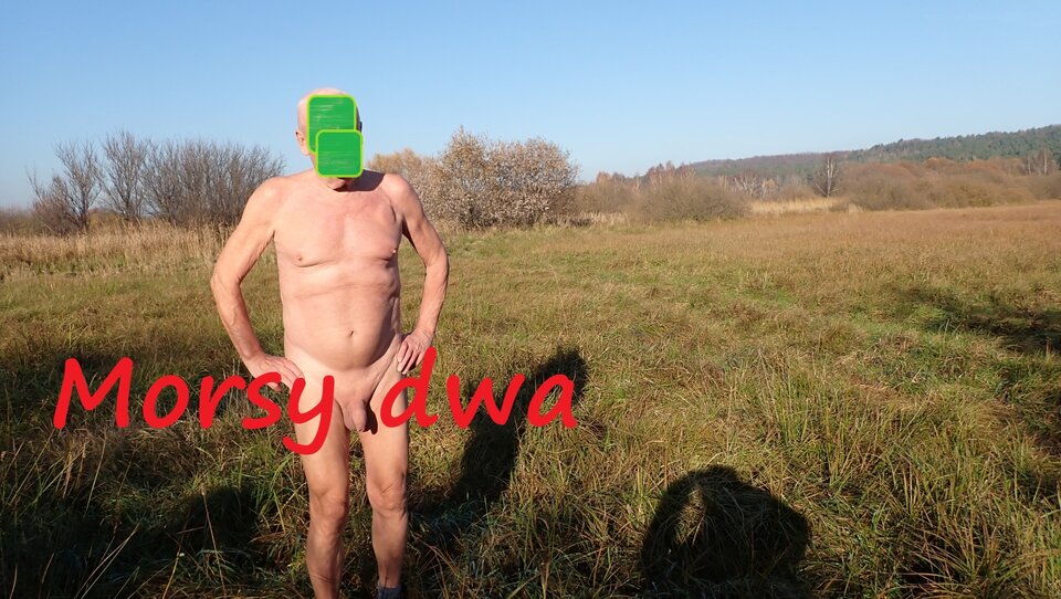 Gdzieś na łące. Na trasie. - Morsy_dwa