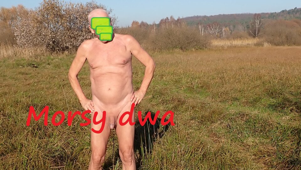 Gdzieś na łące. Na trasie. - Morsy_dwa