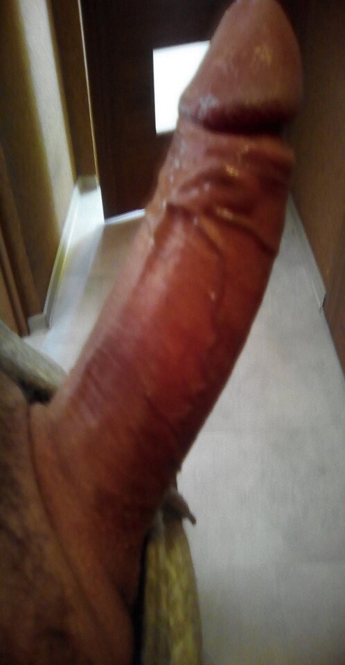 zdgr.jpg - mmojduzy102