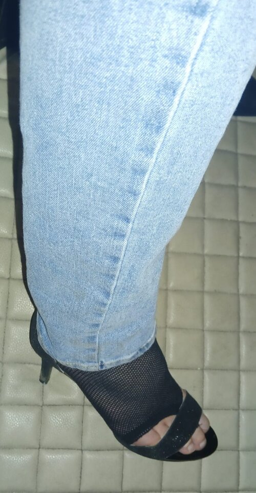 1000020053.jpg - Transpola