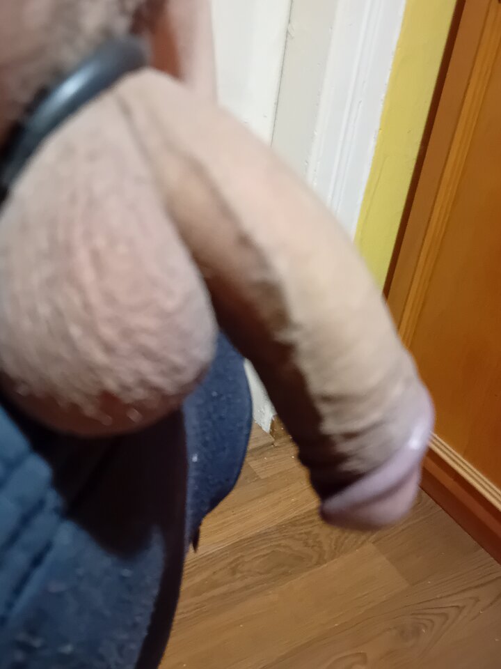 1000009015.jpg - brus13