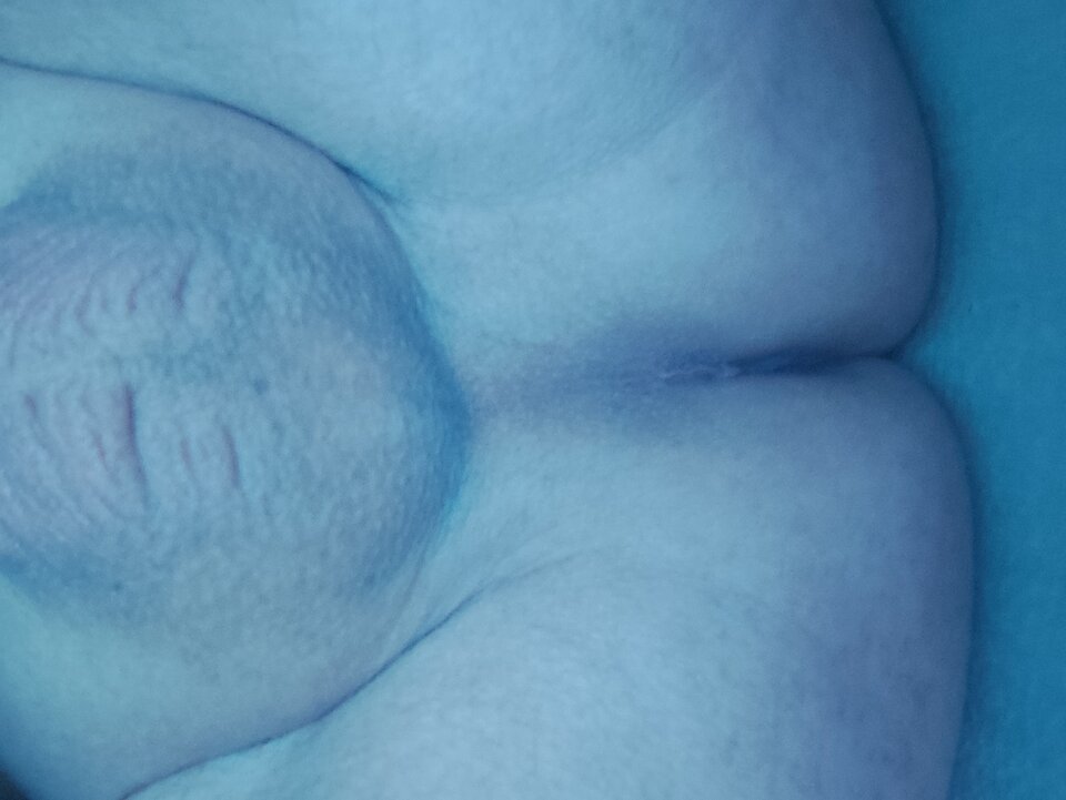 17626105098895377720926040259122.jpg - Edwarda18