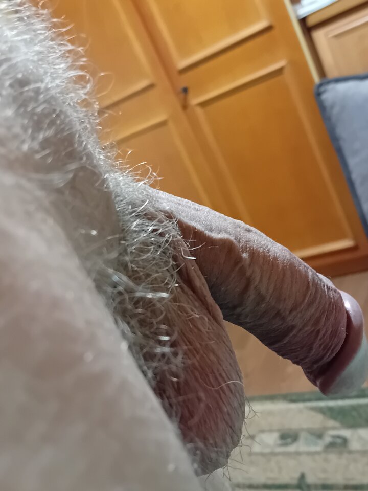 1000009383.jpg - brus13