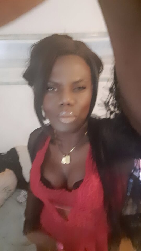 Snapchat-1004155735.jpg - OniJegoTrans