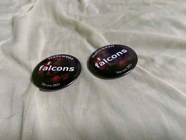 falcons