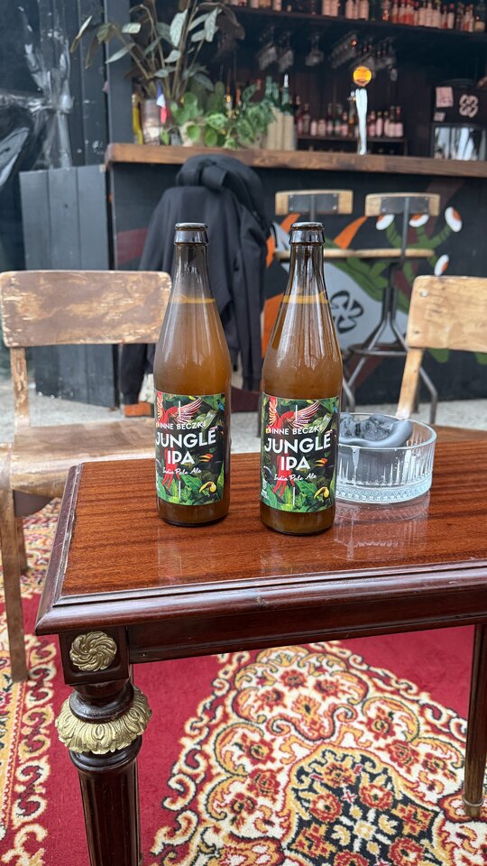 IMG_8529.jpeg - PrzyjacielAlkowy