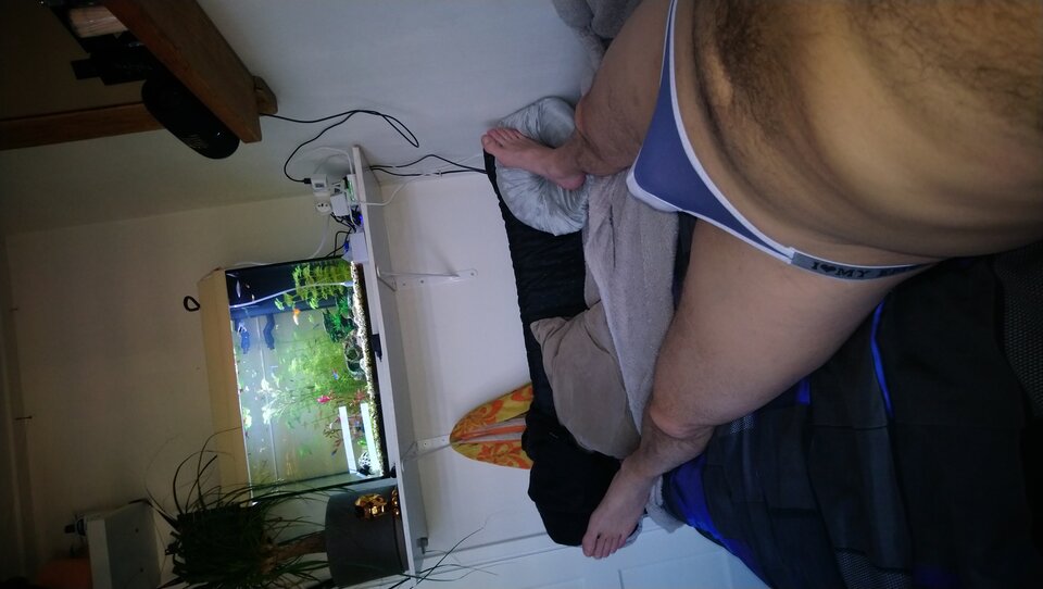 17626919459047031735265753229887.jpg - RealnyNiegrzeczny