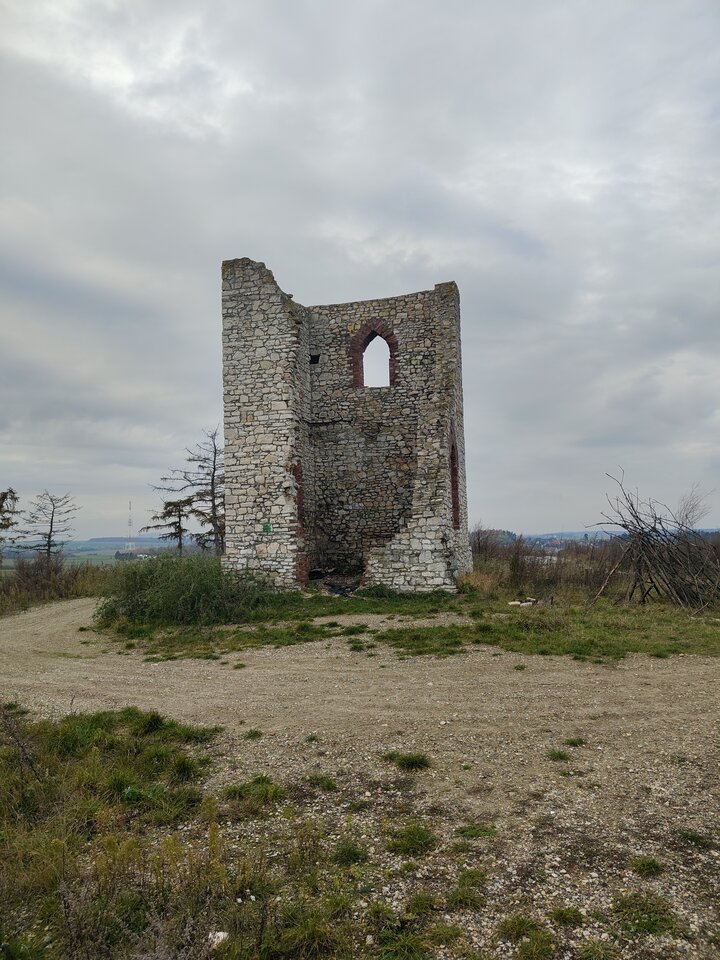 1000027210.jpg - tom_tom1983