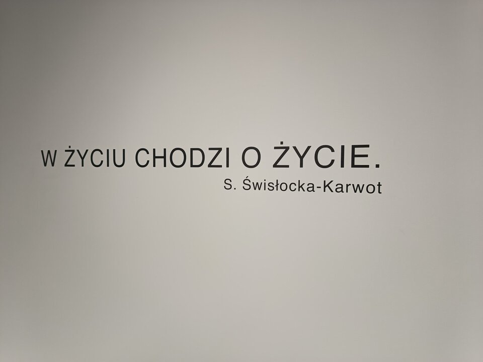 IMG_20251109_153008430.jpg - kinkyAss