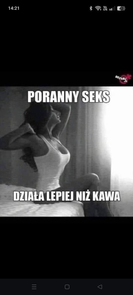 FB_IMG_1762694896133.jpg - ojtam_urwisekKrk